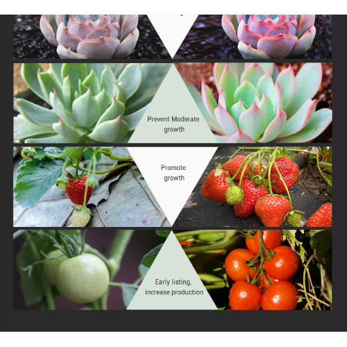 सब्जियों के लिए फुल स्पेक्ट्रम एलईडी प्लांट ग्रो लाइट
