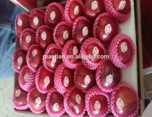 2016 Red Delicious Huaniu Apple