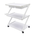 Beauty Salon Trolley Storage Cart