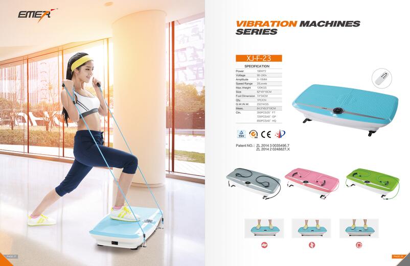 Double motors vibration machine