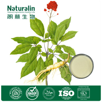 Low Pesticide Korean Panax Ginseng Extract with Dietary Supplement Sales