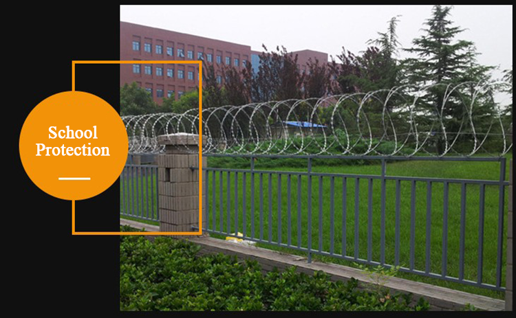 stainless steel/galvanized BTO-15 Razor wire fencing anti climb factory price