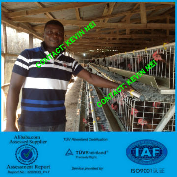 Chicken Cage For Poultry Farm For Nigeria