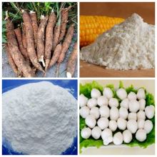 Corn, Maize Modified Starch Prodution Line