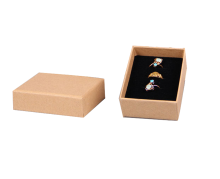 Custom Printed Kraft Paper Jewelery Gift Box