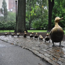 Cheap and fine garden decorative bronze ducks sculpture for sale