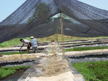 Horticultural Shade Netting