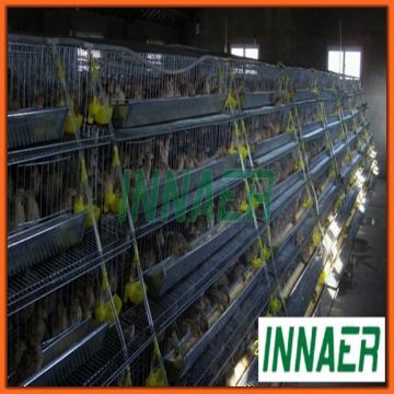 Innare hot sale layer quail cages