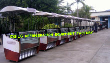 Ice Lolly Cart/Ice Cream Cart Manufacturers/Carts for Ice Cream Prices