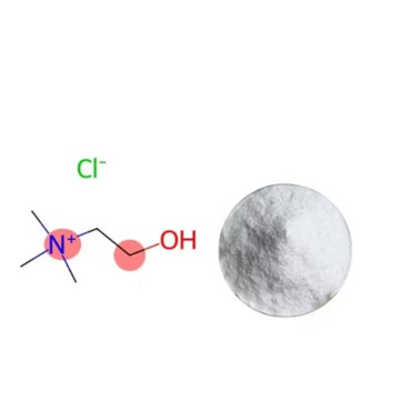 98% Choline Chloride Powder Additives CAS 67-48-1