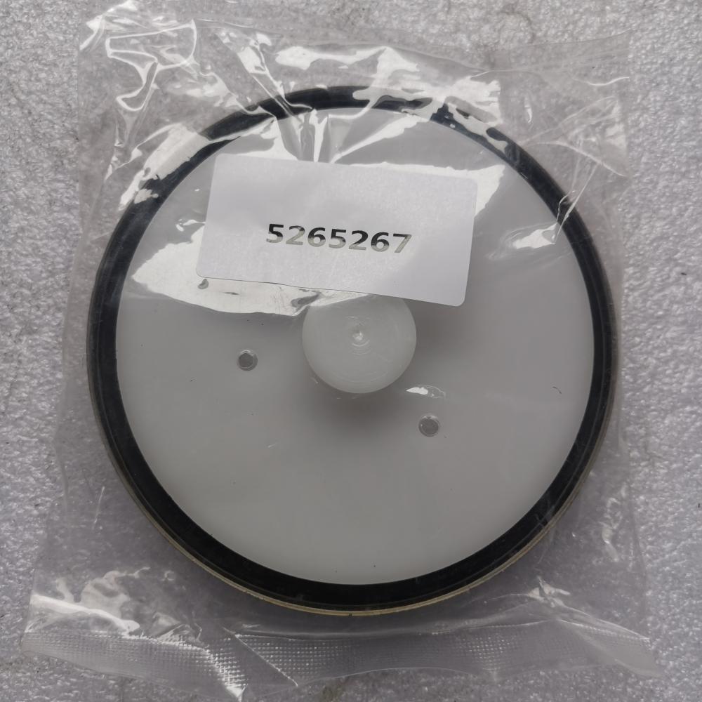 5265267 Jpg 5265267 Jpg