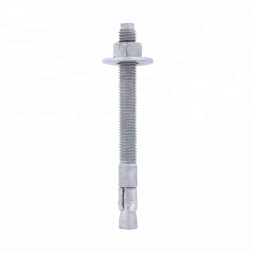 Steel Metric Screw Type Wedge Anchor Bolts