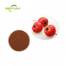Hawthorn Extract Powder Hawthorn Flavonoids