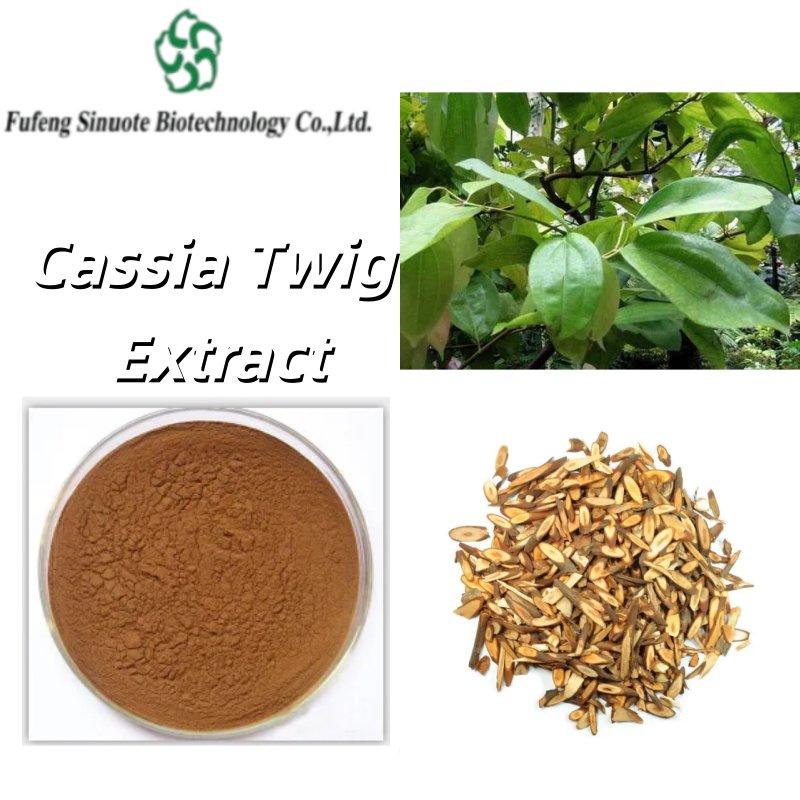 High-Potency-Cassia-Twig-Extract-for-Aromatherapy-and-Cooking High-Potency-Cassia-Twig-Extract-for-Aromatherapy-and-Cooking