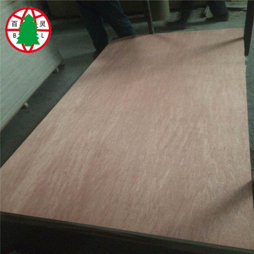 17MM Bintangor BBBB Plywood sheet