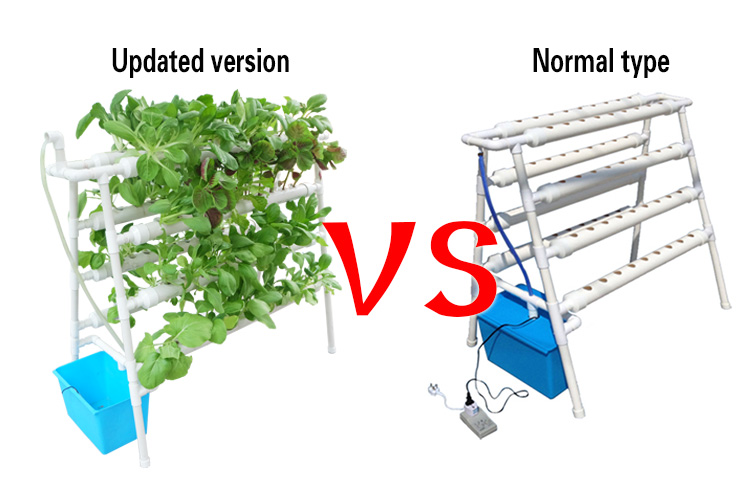 hydroponic system