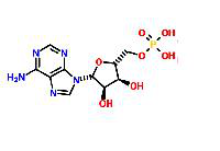 TANYUN manufacturer of high purity medical intermediate 10-hydroxydecanoic acid cas:1679-53-4 with reasonable price