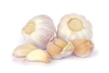 Selected High quailty Snow white Garlic