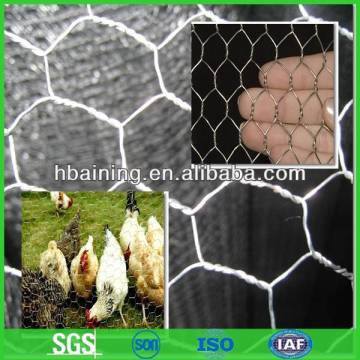 Hex wire netting/Chicken/Rabbit/Poultry Wire netting