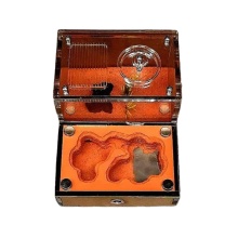 Ant Breeding Formicarium for School Science Popularization