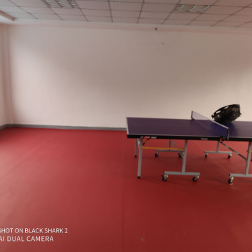 Table tennis sports floor with ITTF certificate