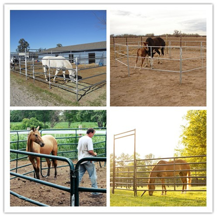 cattle Fence Panels