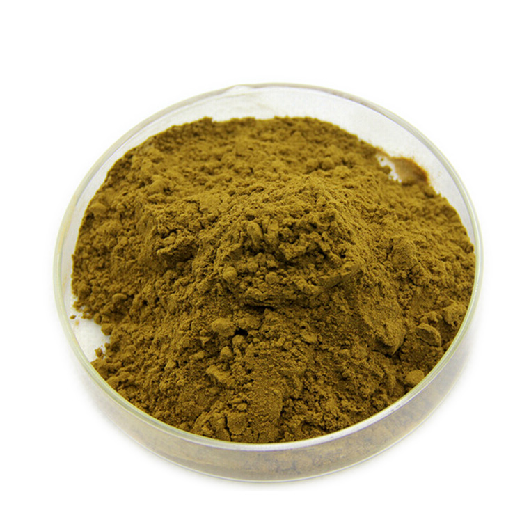 Most Powerful Multi-function Organic Polysaccharide Chaga Mushroom Extract Powder