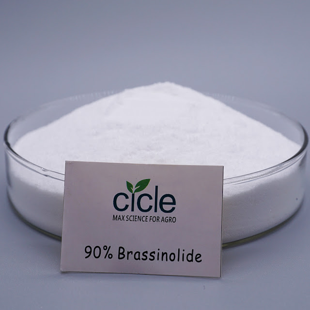 90% brassinolide 2 90% brassinolide 2