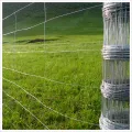 Premium Cattle Farm Field Grassland Fence