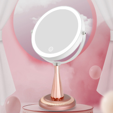 10x Magnifying Mirror With Lights Makeup Mirror Led