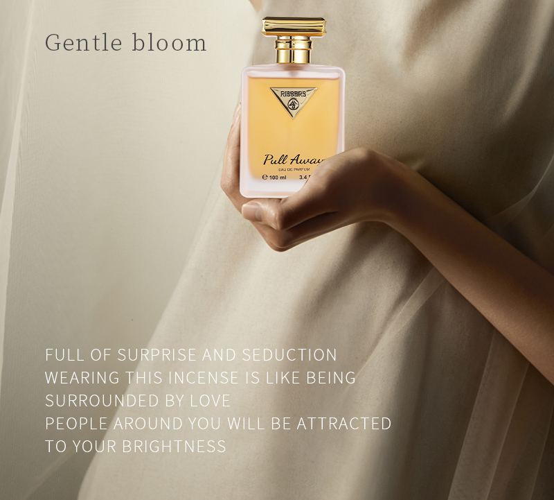 説明する Describe