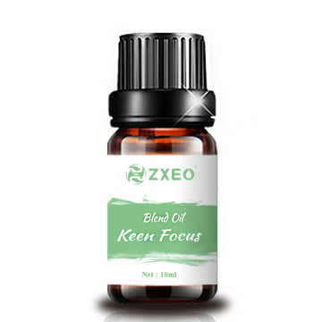 Keen Focus Blend Oil Aromatherapy