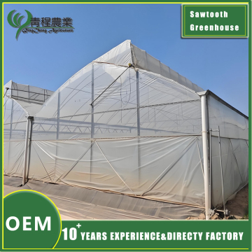 Multi span Sawtooth Greenhouse