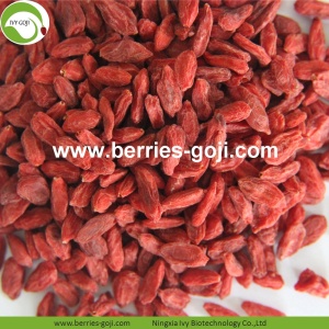 Pasokan Pabrik Kering Malaysia Goji