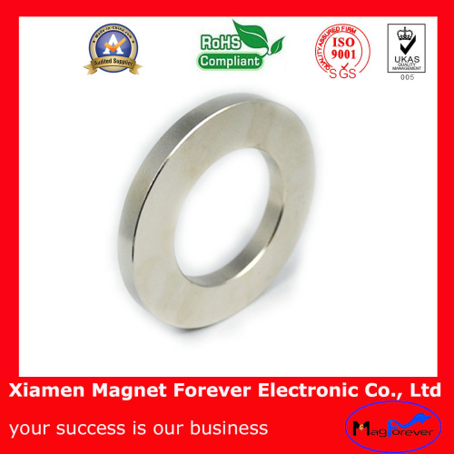 Custom Permanent Ring NdFeB/Neodymium Magnet with RoHS