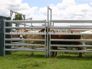 SGS certification Galvanized Rail Pastoral Industry Livestock Cattle Panel