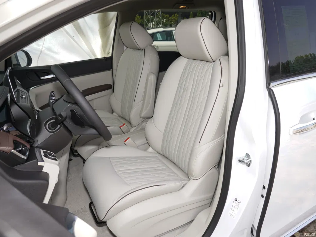 China Car Buick Gl8 2023 Land Business Cabin Luxury Edition