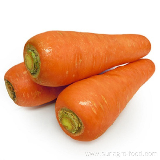 Carrot With High Yield And Good Quality