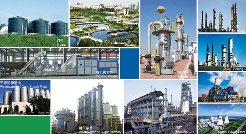 Wet Desulfurization System for Biogas and Coke Gas Purification