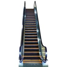 Outdoor Escalators and Moving Sidewalks