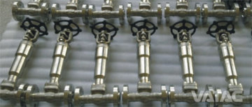 Cryogenic Globe Valve