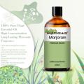 High Quality OEM/ODM Services Marjoram Oil For Face Skincare