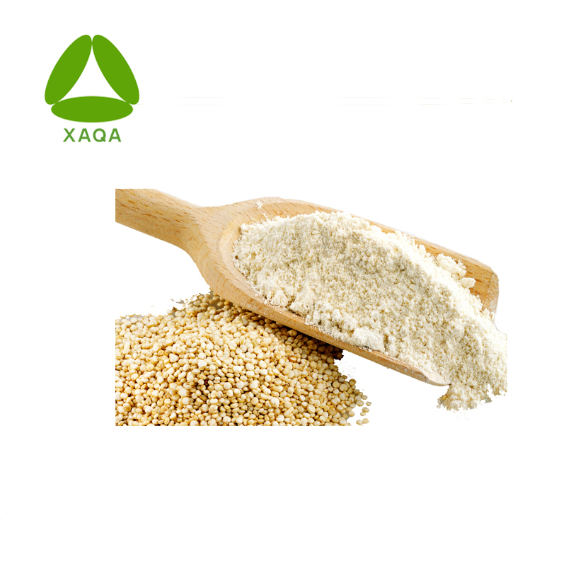 Quinoa Extrato Proteína em pó 80%-90%