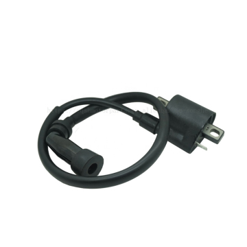 Wholesale XTZ125 Motorcycles Ignition System Parts: Ignition Coil CDI