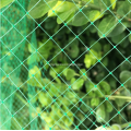 Plastic Square Anti Bird Netting