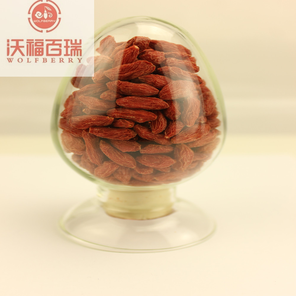 Dinh dưỡng cao Bán Hot Thấp thuốc trừ sâu Goji Berries