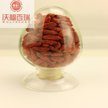 High nutrition Hot sale Low pesticide Goji Berries