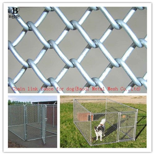 galvanized Chain link fencing for dog