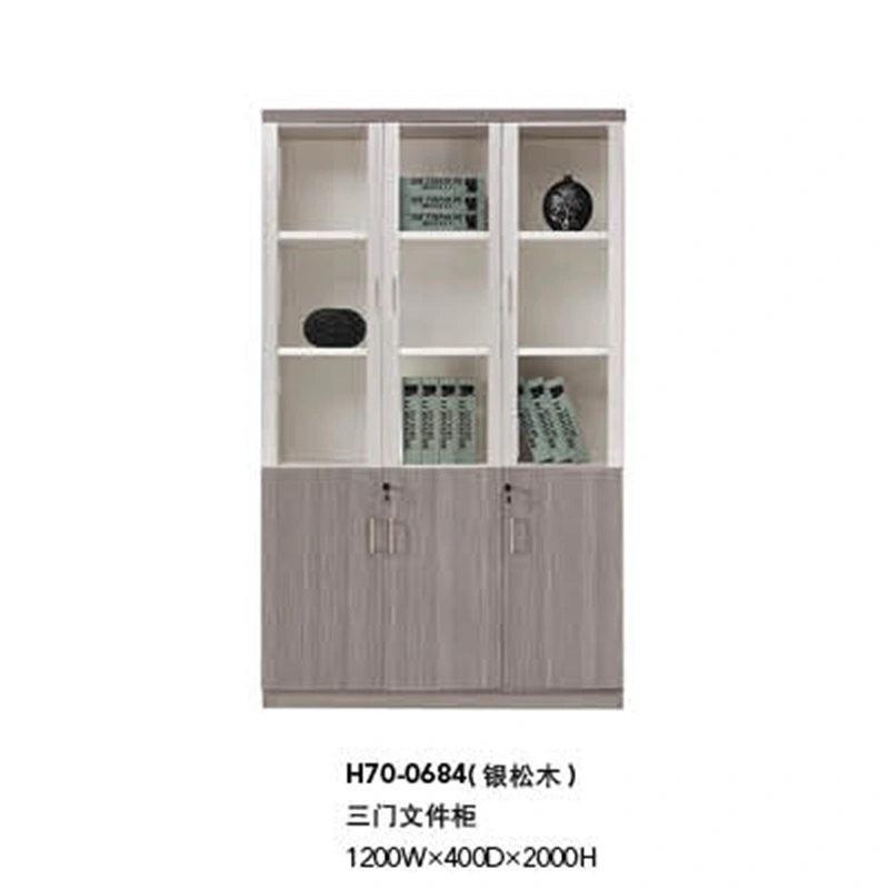 Modern Big Glass Doors Filing Cabinet, Bookcase (H70-0684)