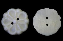 Different Types Of flower shell button